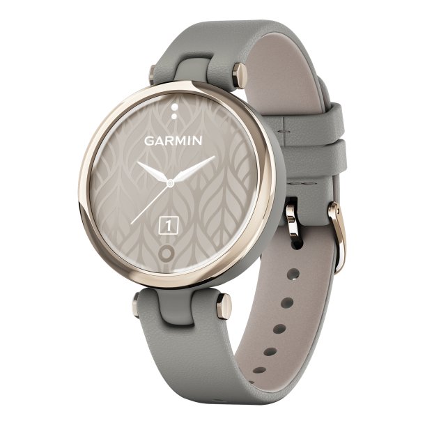 Garmin 010-02384-A2 Lily Classic Edition Smartwatch Cream Gold Bezel, Gray Case